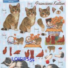 Feuille 3D chaton noir et blanc